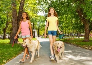 teen pet sitter